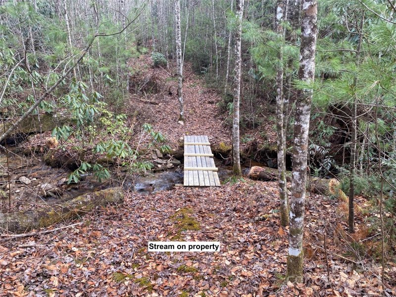 Property image 3 at Lot 87 Peppervine Circle, Rosman, NC 28772