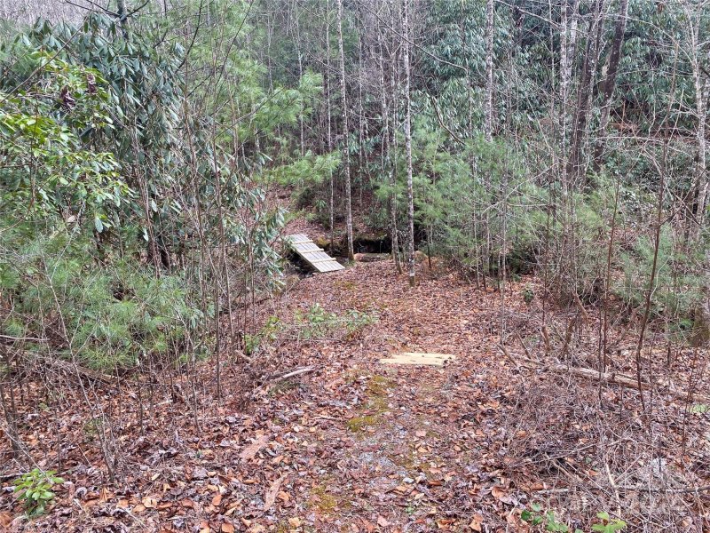 Property image 4 at Lot 87 Peppervine Circle, Rosman, NC 28772