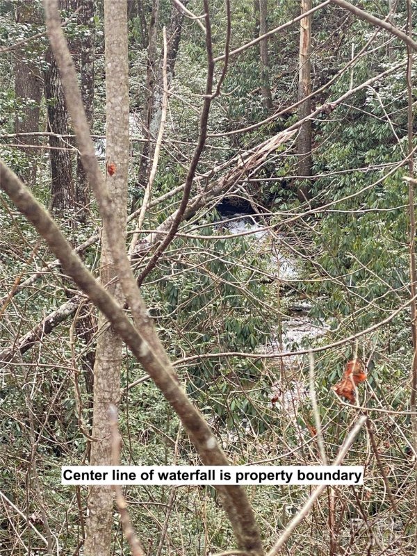 Property image 5 at Lot 87 Peppervine Circle, Rosman, NC 28772