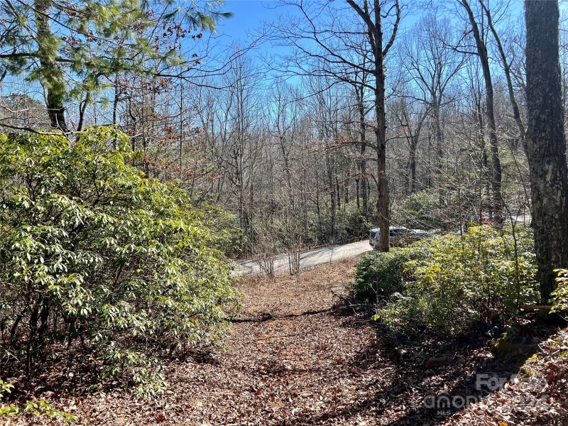 Property image 3 at 320 Rhododendron Drive, Old Fort, NC 28762