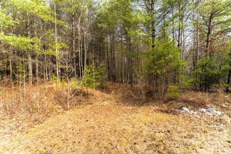 Property image 4 at 1064 Sale Drive, Morganton, NC 28655