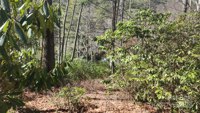 Property image 3 at 139 Golden Mist Court, Sapphire, NC 28774