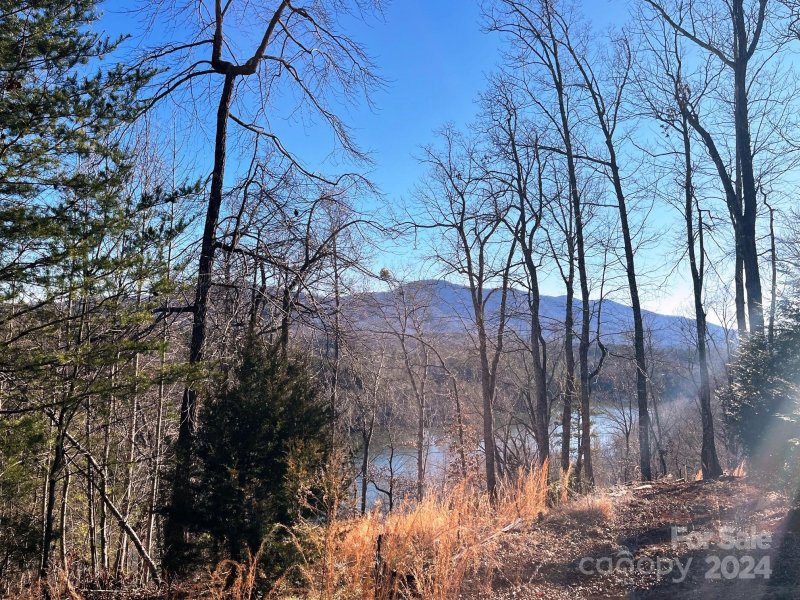 Property image 2 of Lot 30 Mountain Parkway in Lake Adger, Mill Spring, NC 28756