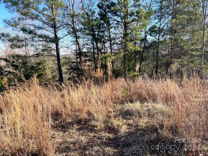 Property image 4 of Lot 30 Mountain Parkway in Lake Adger, Mill Spring, NC 28756