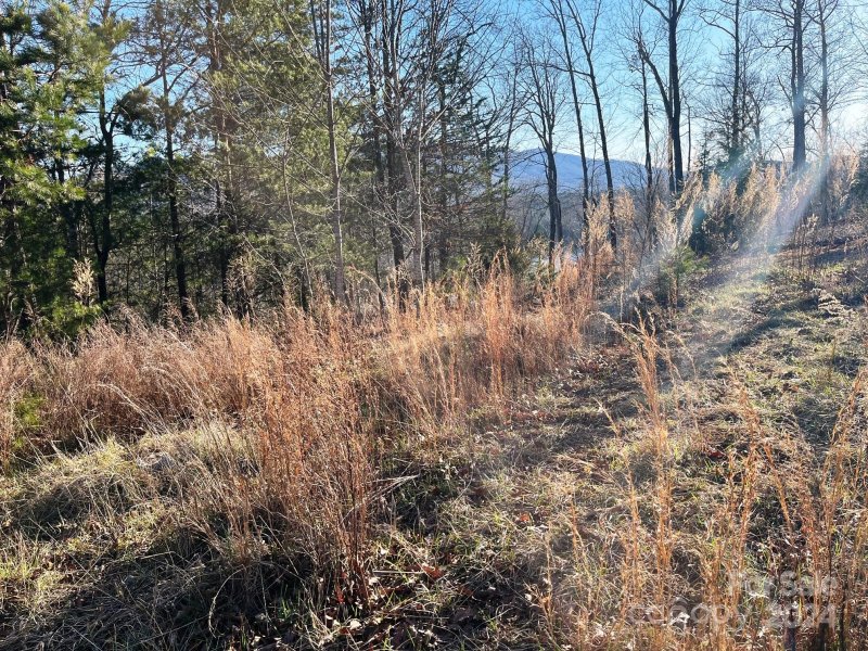 Property image 5 of Lot 30 Mountain Parkway in Lake Adger, Mill Spring, NC 28756