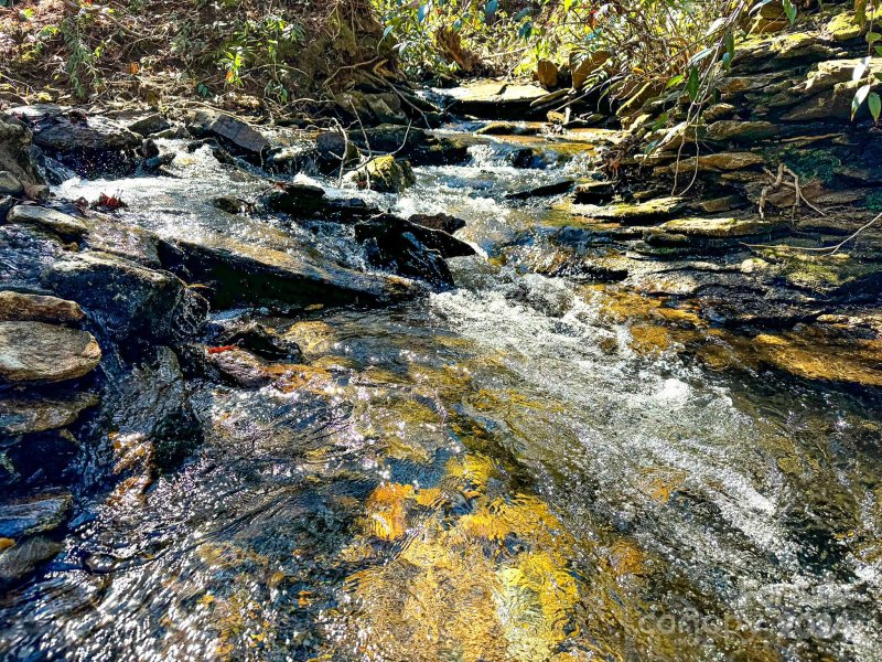 Property image 2 at 0000 Rixhaven Drive, Saluda, NC 28773