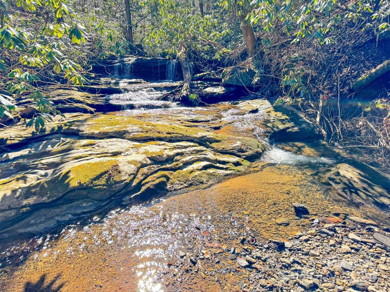 Property image 3 at 0000 Rixhaven Drive, Saluda, NC 28773