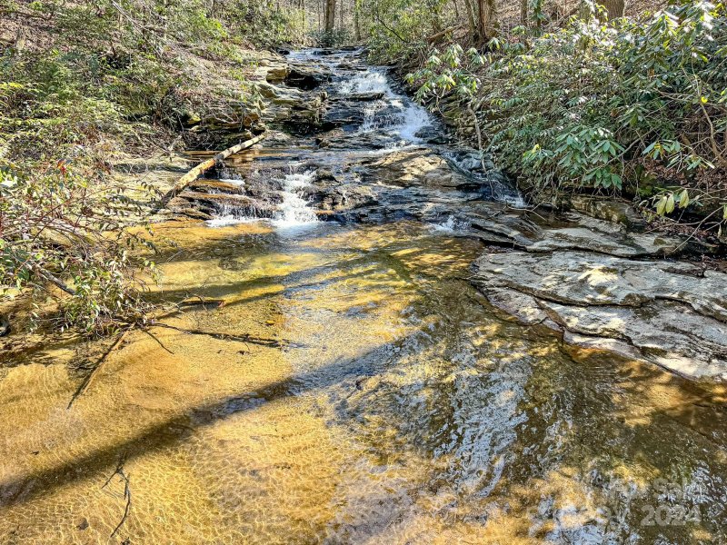 Property image 4 at 0000 Rixhaven Drive, Saluda, NC 28773