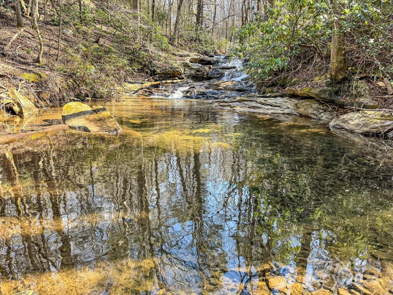 Property image 5 at 0000 Rixhaven Drive, Saluda, NC 28773