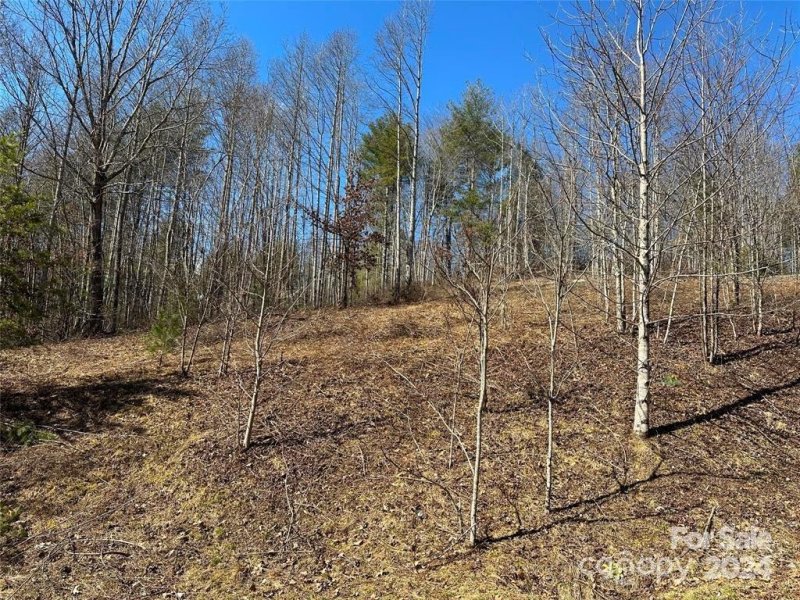 Property image 2 at 205 Morning Air Lane, Hendersonville, NC 28792