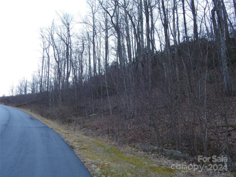 Property image 3 at 0 Rolling Ridge Trail, Lake Lure, NC 28746