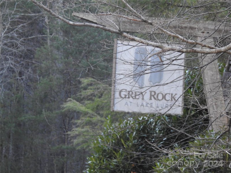 Property image 4 at 0 Rolling Ridge Trail, Lake Lure, NC 28746