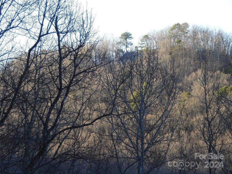 Property image 5 at 0 Rolling Ridge Trail, Lake Lure, NC 28746