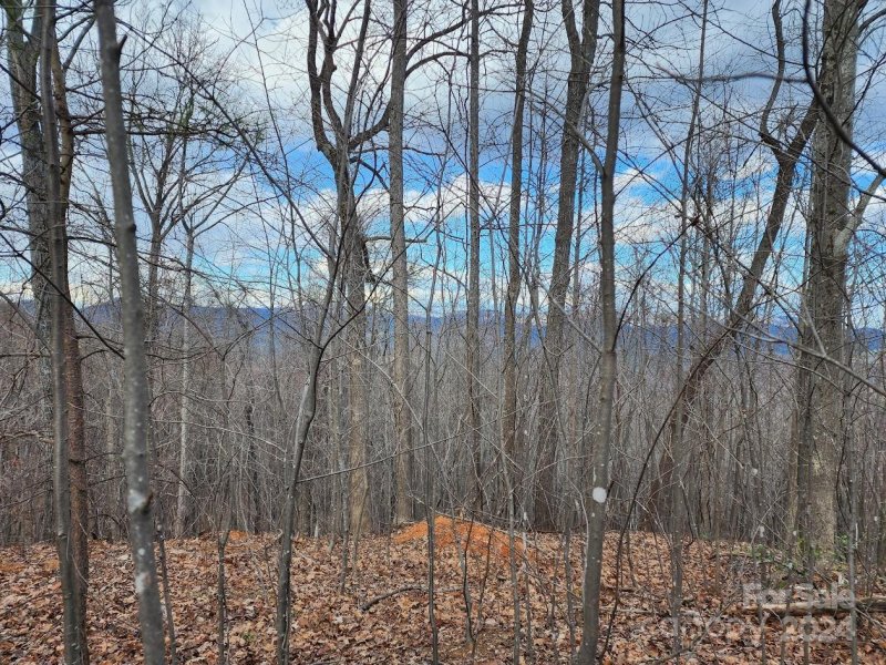 Property image 2 at 48 Peseco Drive, Bostic, NC 28018