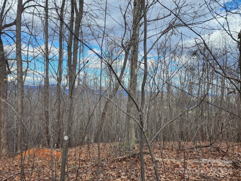 Property image 3 at 48 Peseco Drive, Bostic, NC 28018