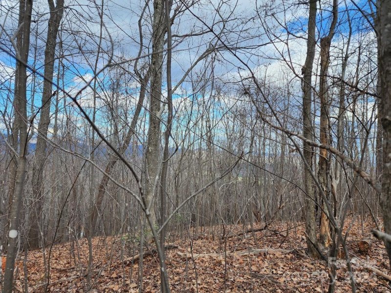 Property image 4 at 48 Peseco Drive, Bostic, NC 28018