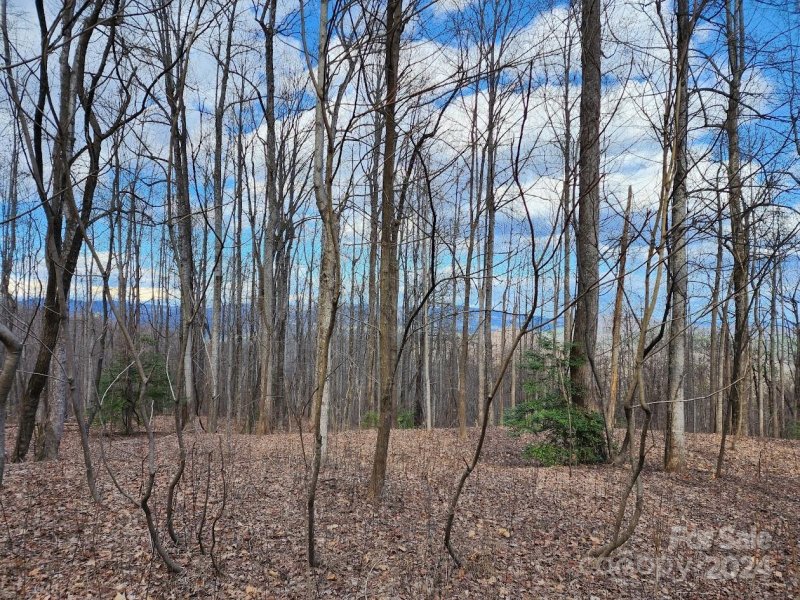 Property image 2 at 26 Summit Parkway, Bostic, NC 28018