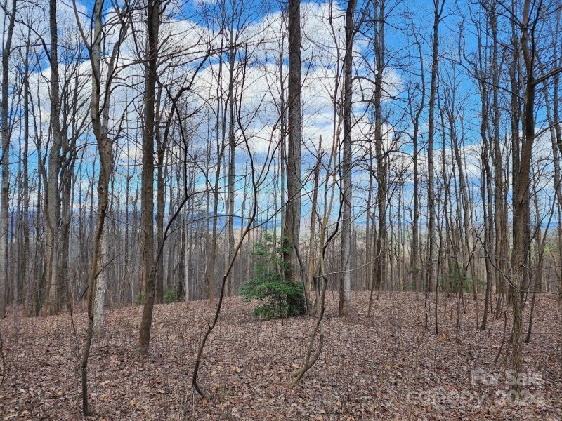 Property image 3 at 26 Summit Parkway, Bostic, NC 28018