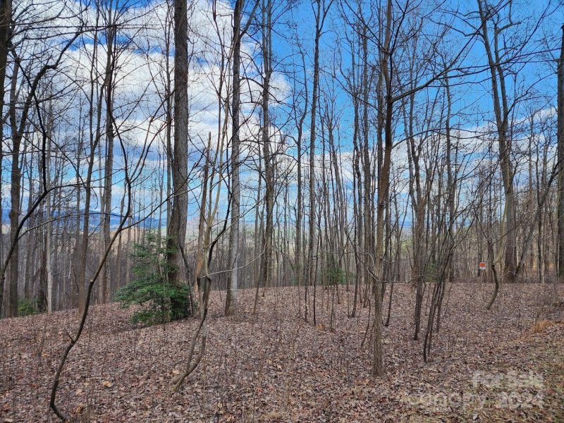 Property image 4 at 26 Summit Parkway, Bostic, NC 28018