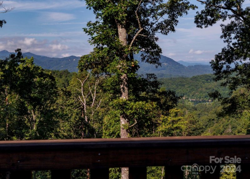 Property image 2 at 109 Blackberry Drive, Bryson City, NC 28713