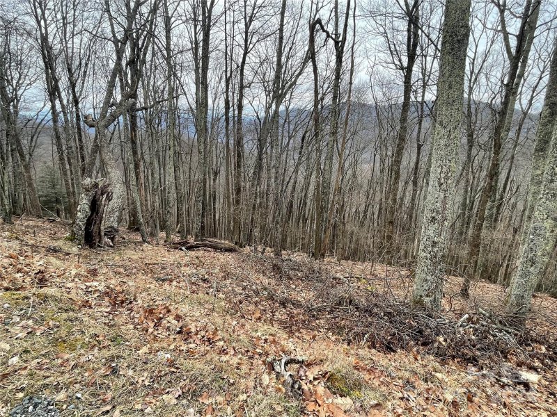 102 Flame Azalea Lane