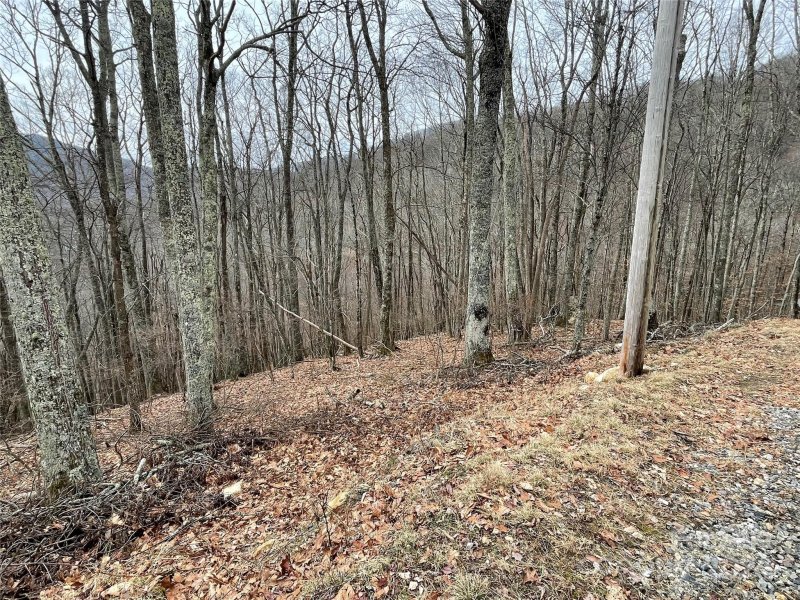 Property image 2 of 102 Flame Azalea Lane in Wolf Laurel, Mars Hill, NC 28754