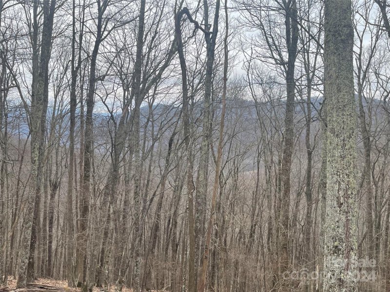 Property image 4 of 102 Flame Azalea Lane in Wolf Laurel, Mars Hill, NC 28754