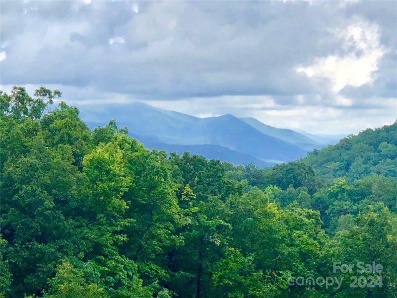 Property image 2 at 509 Atlantic Falls Trail, Black Mountain, NC 28711