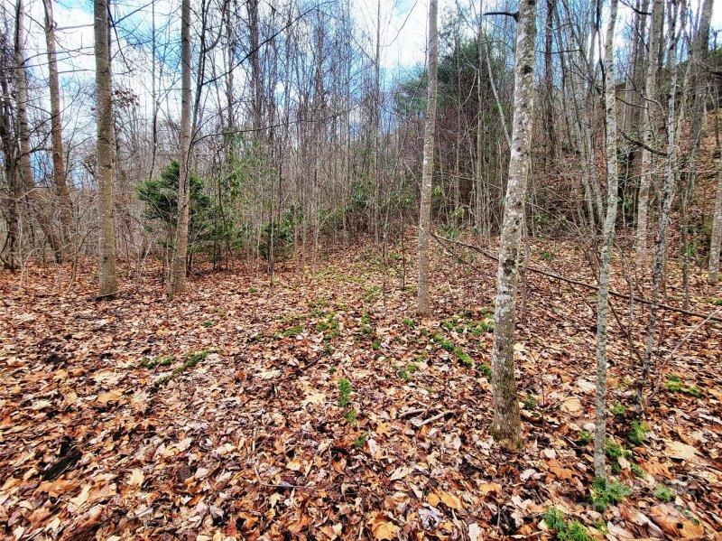 Property image 5 at 275 Sheila Drive, Waynesville, NC 28785