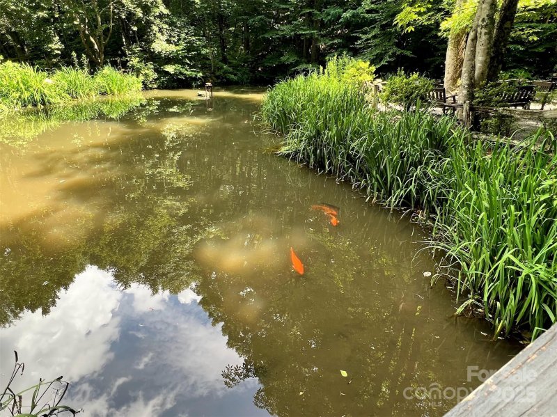 Property image 4 of Lot 58 Turn A Bout Court in Brannon Forest, Waynesville, NC 28785