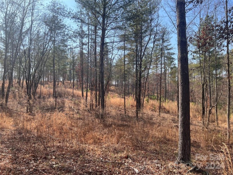 Property image 4 at 2099 Windom Peak Summit, Connelly Springs, NC 28612