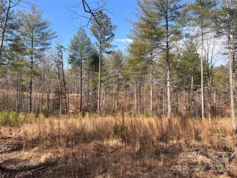 Property image 5 at 2099 Windom Peak Summit, Connelly Springs, NC 28612