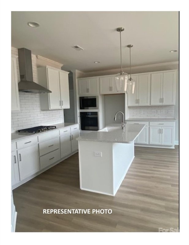 Property image 2 at 10520 Audubon Ridge Drive, Cornelius, NC 28031