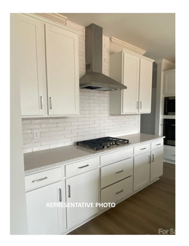 Property image 3 at 10520 Audubon Ridge Drive, Cornelius, NC 28031