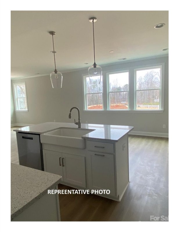 Property image 4 at 10520 Audubon Ridge Drive, Cornelius, NC 28031