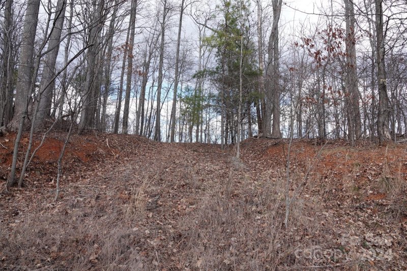 Property image 2 at 49 Peseco Drive, Bostic, NC 28018