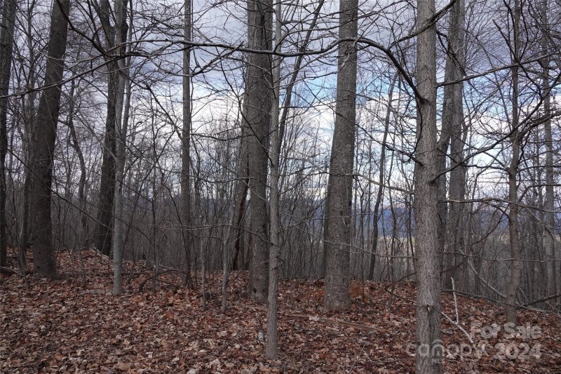 Property image 4 at 49 Peseco Drive, Bostic, NC 28018