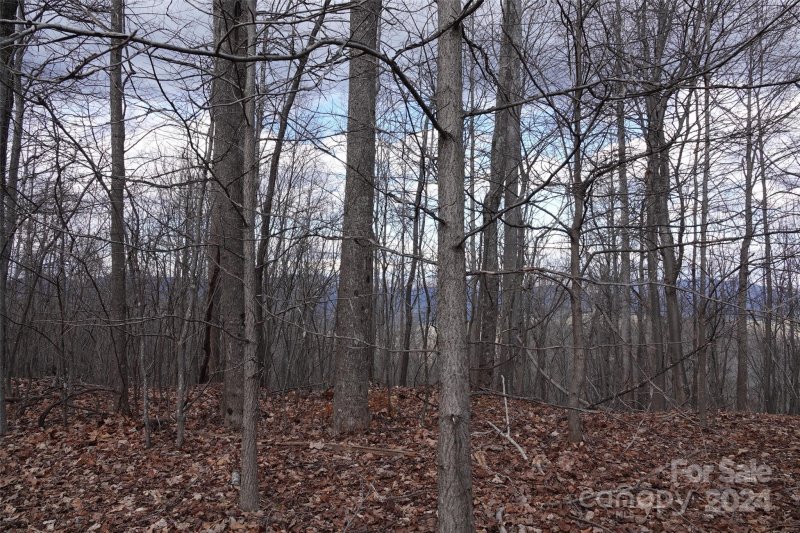 Property image 5 at 49 Peseco Drive, Bostic, NC 28018