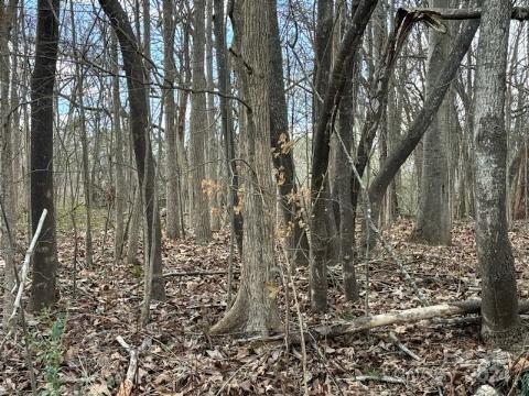 Property image 3 at 118 Random Drive, Salisbury, NC 28147