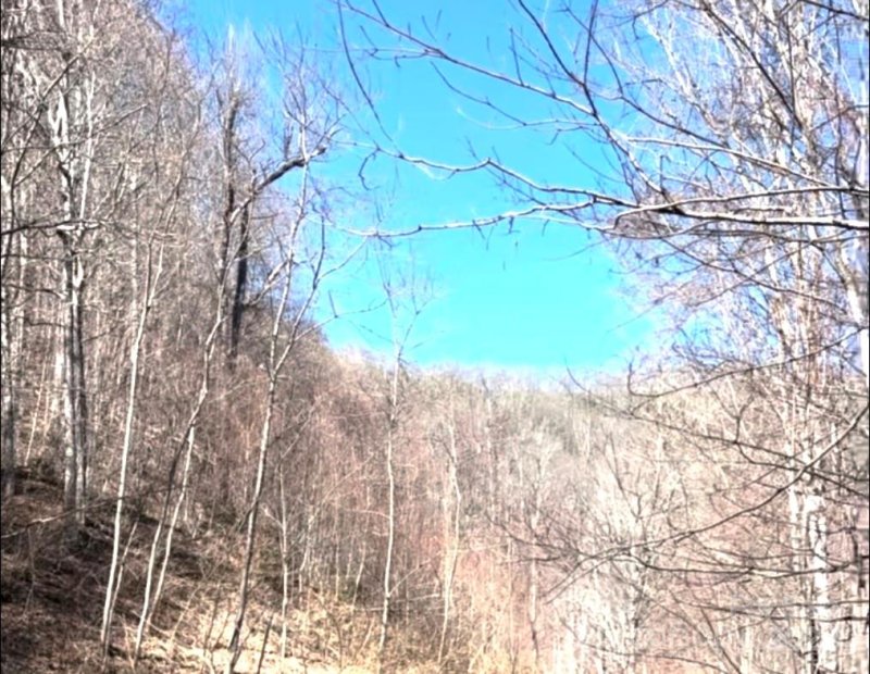 Property image 2 at 1191 Davy Crockett Drive, Maggie Valley, NC 28751