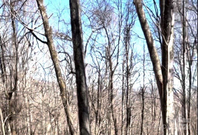 Property image 3 at 1191 Davy Crockett Drive, Maggie Valley, NC 28751