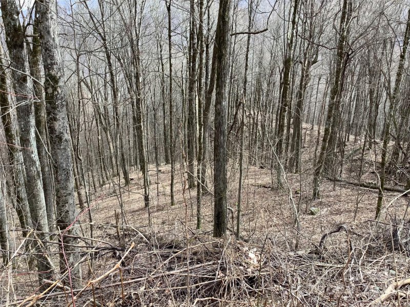 Property image 5 at 1191 Davy Crockett Drive, Maggie Valley, NC 28751