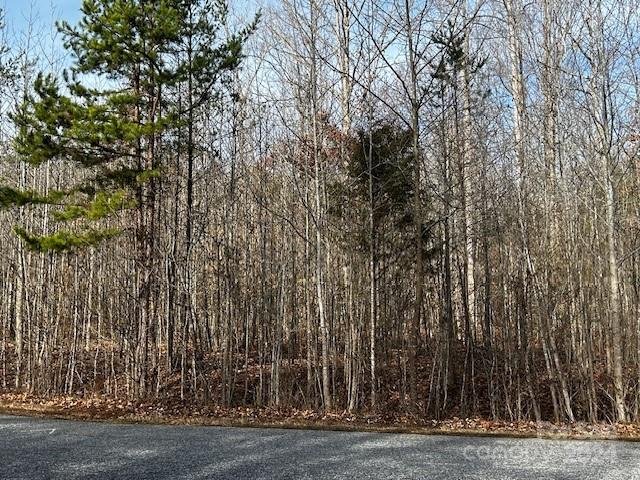 Property image 3 at 346 Bluegill Lane, Statesville, NC 28625