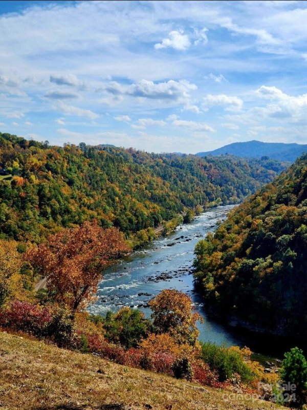 Property image 4 at 901 Wild River Run, Marshall, NC 28753