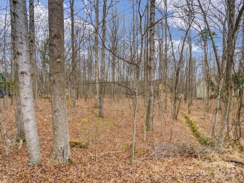 Property image 3 at 4607 Ferguson Circle, Waxhaw, NC 28173