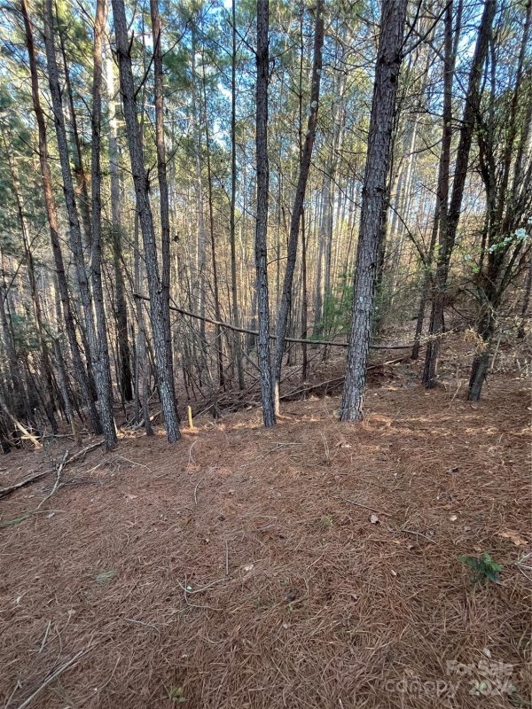 Property image 4 at 5582 Bridgewater Drive, Granite Falls, NC 28638