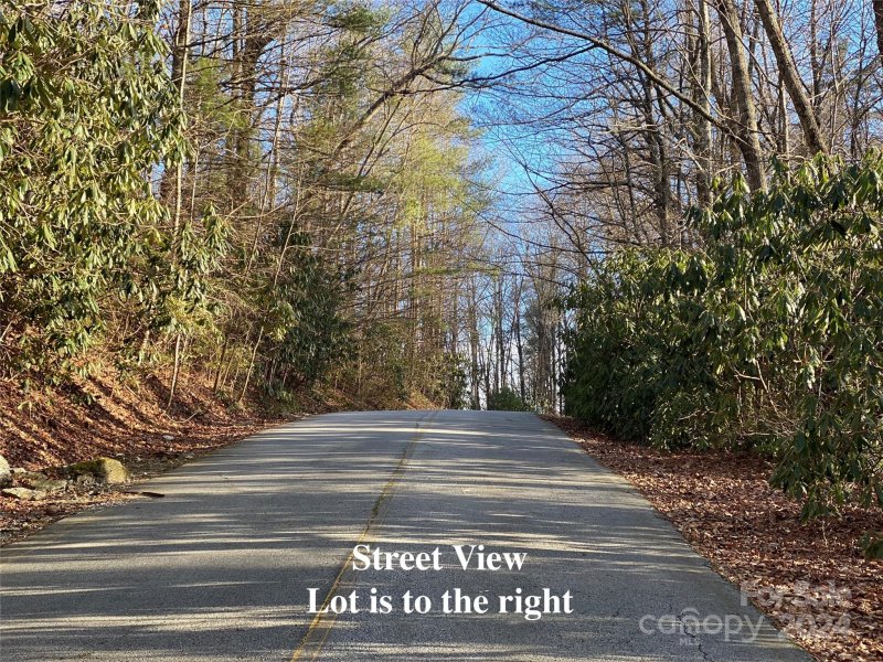 Property image 2 at Lt 79 Hickory Drive, Sapphire, NC 28774