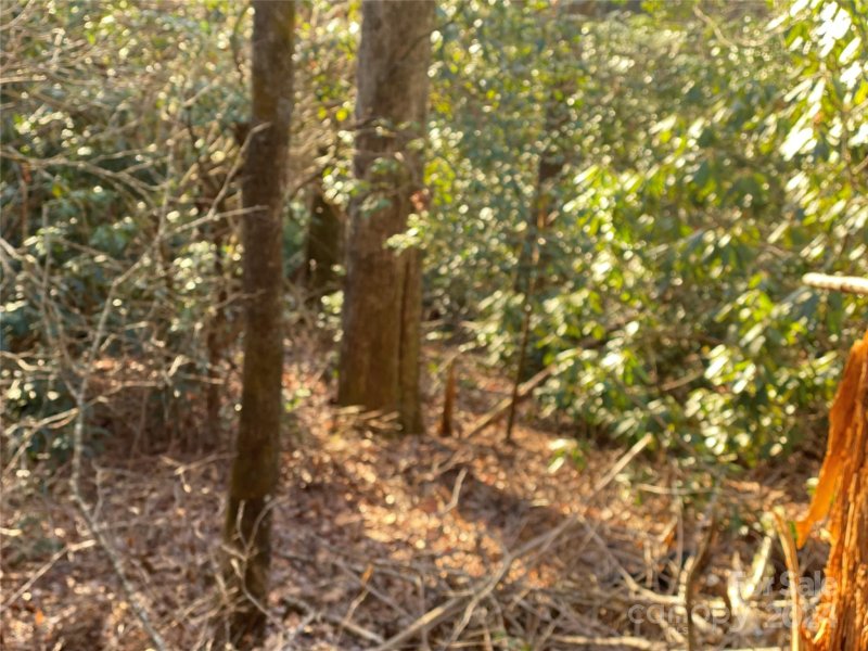 Property image 3 at Lt 79 Hickory Drive, Sapphire, NC 28774