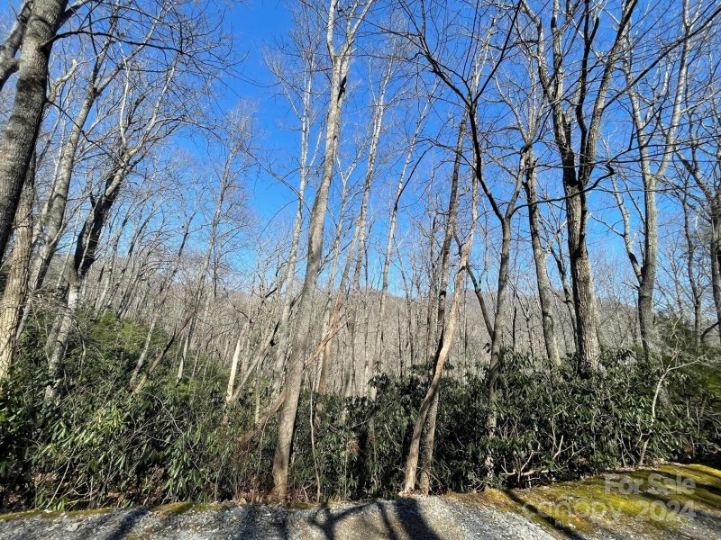 Property image 5 of 111 Deer Run Lane in Buffalo Mountain, Asheville, NC 28805