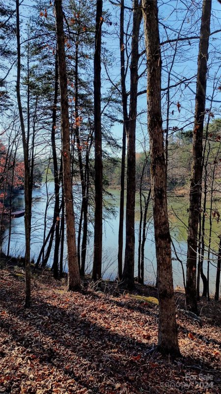 Property image 2 at 00 Double Eagle Drive, Nebo, NC 28761